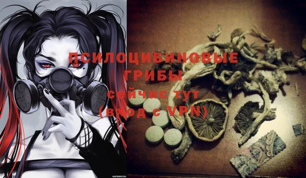 PSILOCYBIN Нефтекумск