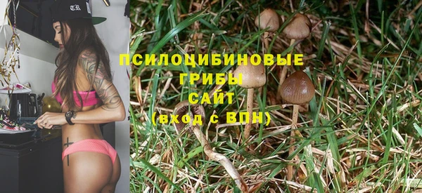 ПСИЛОЦИБИНОВЫЕ ГРИБЫ Новодвинск