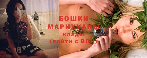 ПСИЛОЦИБИНОВЫЕ ГРИБЫ Новодвинск