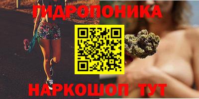 индика Апшеронск