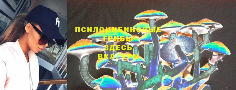 Галлюциногенные грибы MAGIC MUSHROOMS  наркошоп  Ейск 