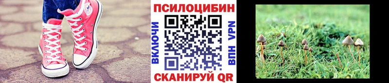 Галлюциногенные грибы мухоморы  как найти наркотики  Ейск 