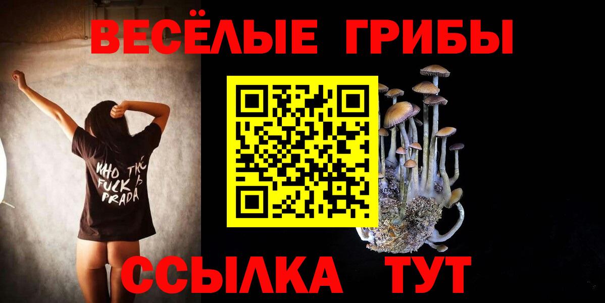 Галлюциногенные грибы GOLDEN TEACHER Ейск