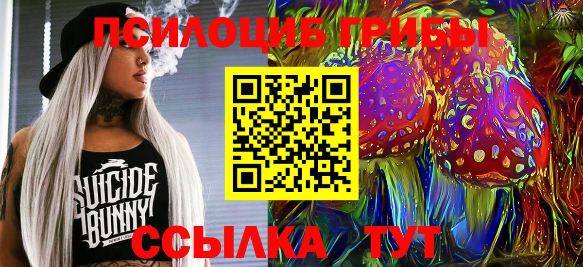 что такое   Галлюциногенные грибы прущие грибы  Ейск  Галлюциногенные грибы прущие грибы 